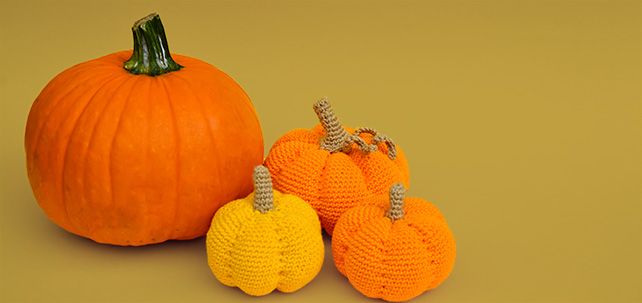 642px Pumkins.jpg