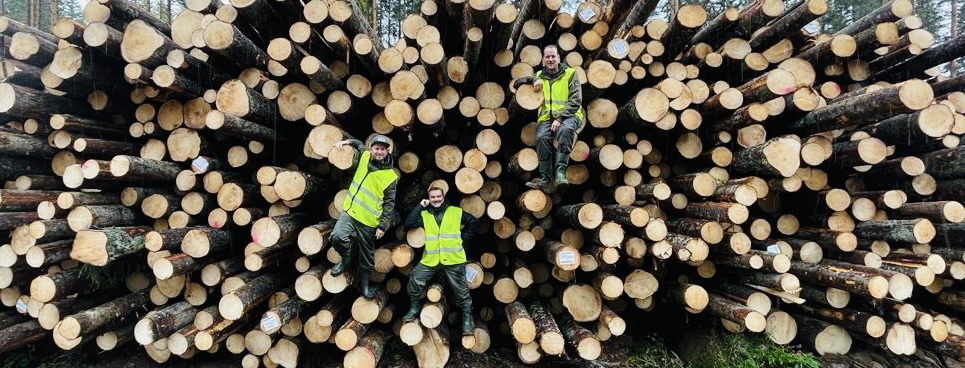Inside the Greenest Supply Chain with Green Gift Cards, Motivates and Holmen Iggesund
